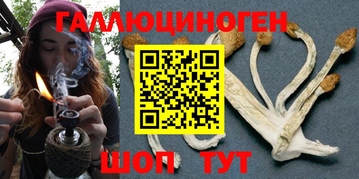 Жигулёвск  наркотики  Вход с VPN  Галлюциногенные грибы GOLDEN TEACHER 